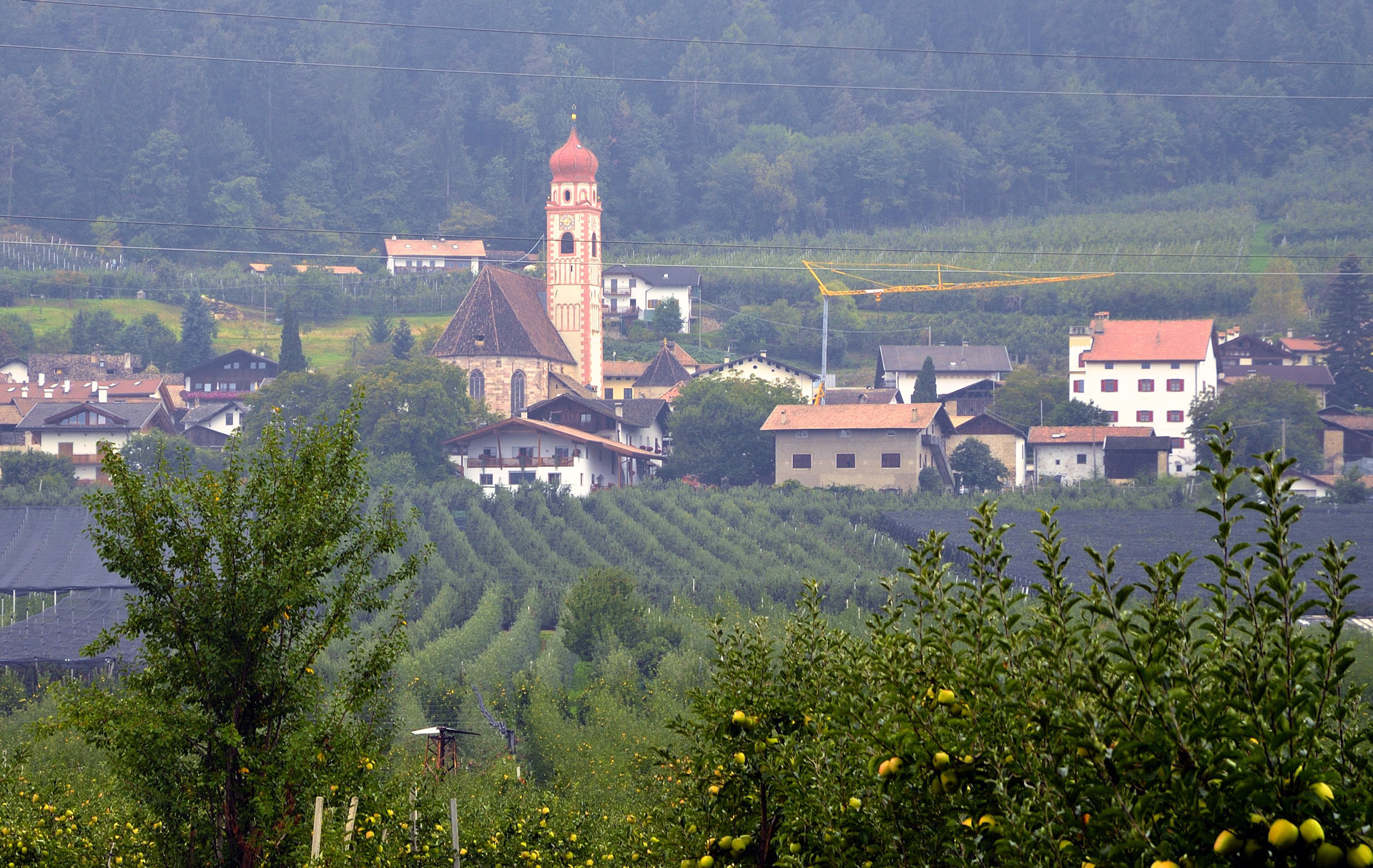 Blick vom Campingplatz auf Tisens. Unser Zielgebiet liegt auf einer sonnigen Anh�von ca. 650 m zwischen Meran und Bozen und umfasst die malerischen D�r Tisens, Prissian, Grissian, Naraun, Gfrill, Platzers und Schernag. Umgeben von satten Obstg�en und Kastanienhainen und abseits des Durchgangsverkehrs kann man hier eine gesunde Natur und wunderbare Pl�e und Ruhepole genie�n. S�ls bekanntesten St�e Meran und Bozen liegen nur ca. 20 Autominuten entfernt.