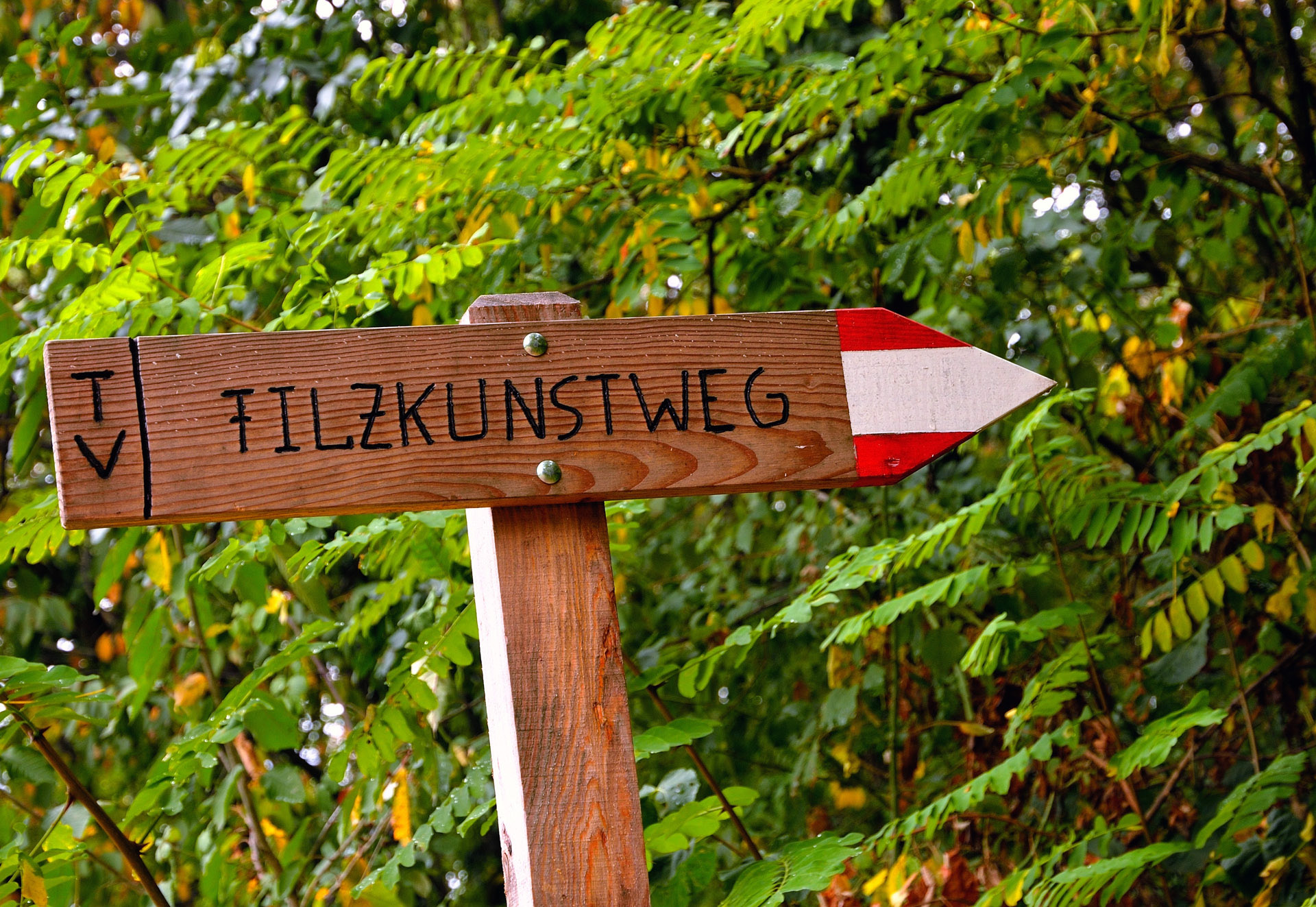 Der Internationale Filzkunstwanderweg l� zum Staunen ein: mit seiner einzigartigen Verkn� von Natur und Kunst ist der etwa einst� Rundgang ein wahres Erlebnis.