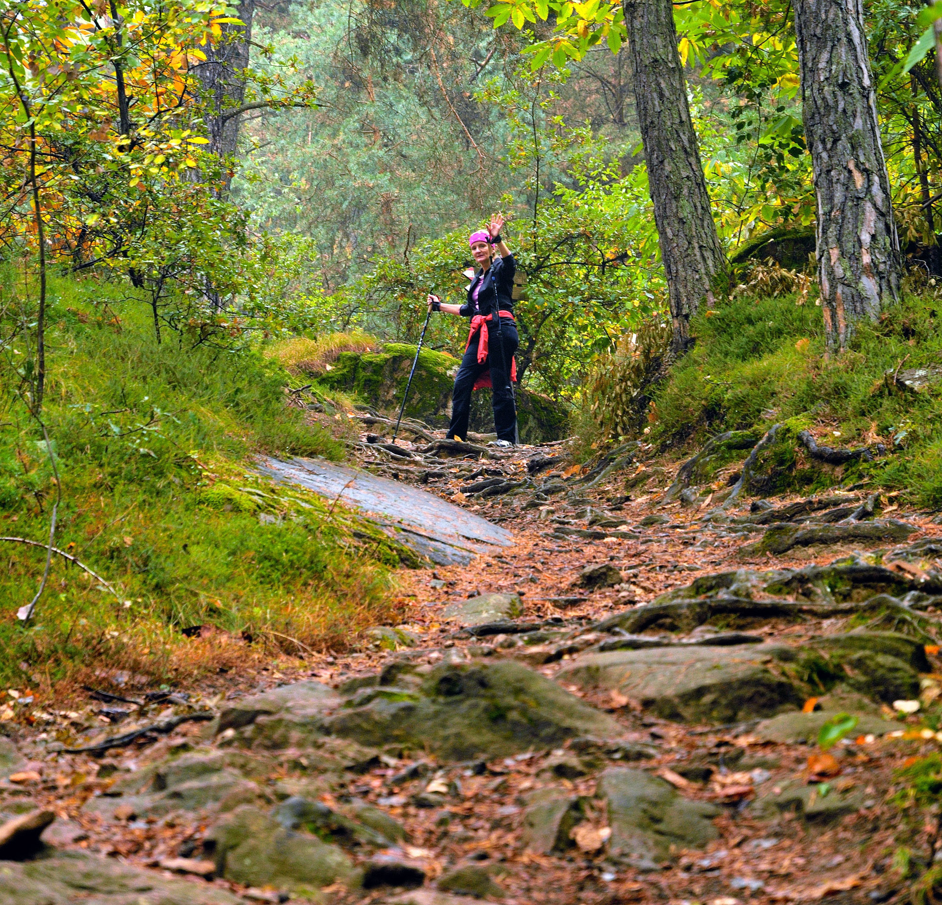 Der Internationale Filzkunstwanderweg...