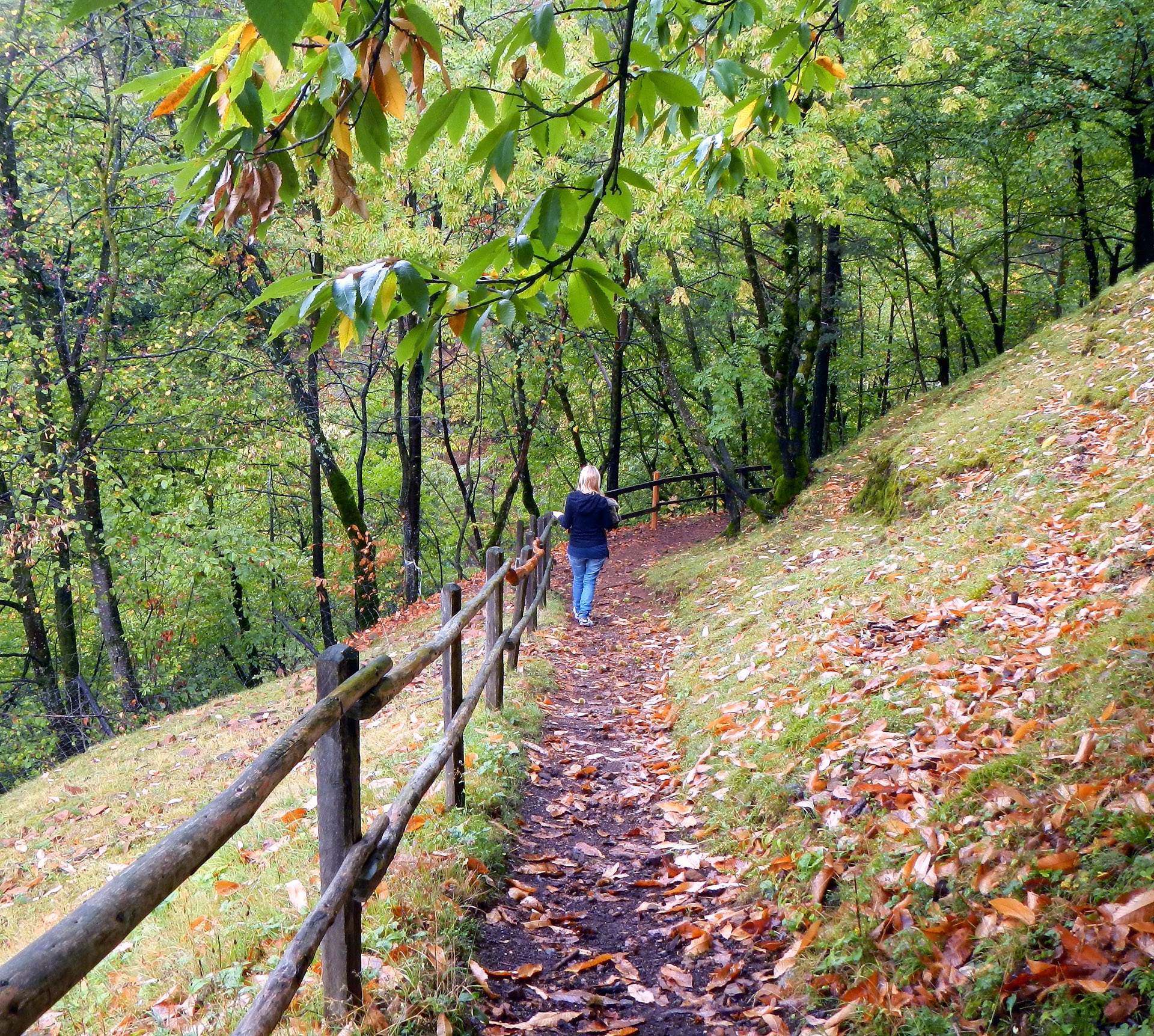 Der Rundwanderweg f�ier unterm Schloss zur�ch Tisens...