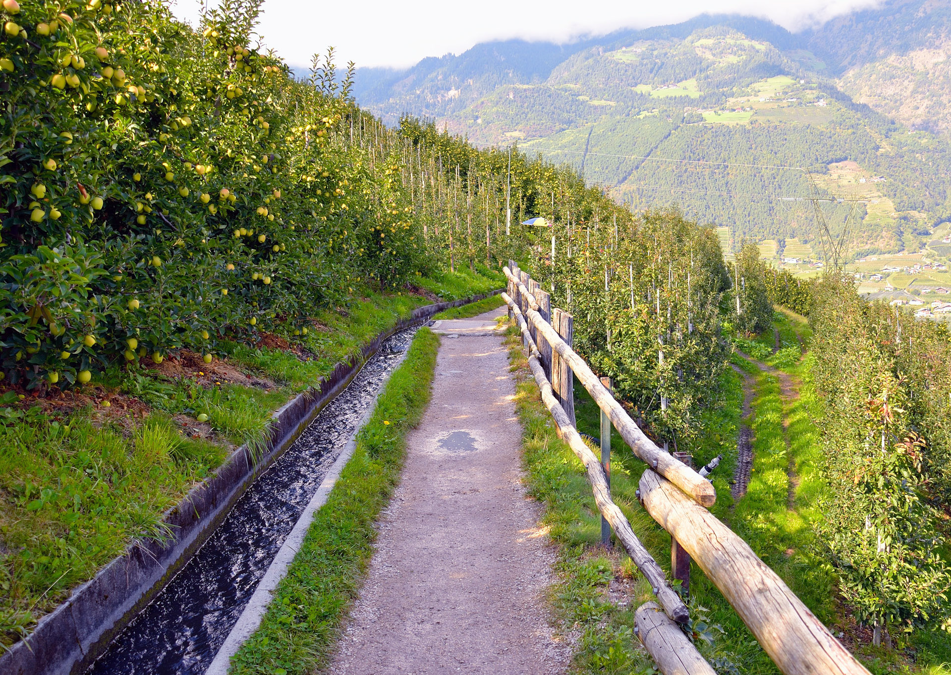 Ein Waal ist ein vom Menschen angelegter Bew�erungskanal oder -graben, der Wasser, meist aus einem Bach und nur ganz selten aus einem See, zu den oft hiervon sehr weit entfernt gelegenen landwirtschaftlichen Kulturen leitet. Die Bezeichnung ist gebr�hlich unter anderem f� in Tirol/S�l zur Bew�erung der Fluren k�ch angelegten Kan�.