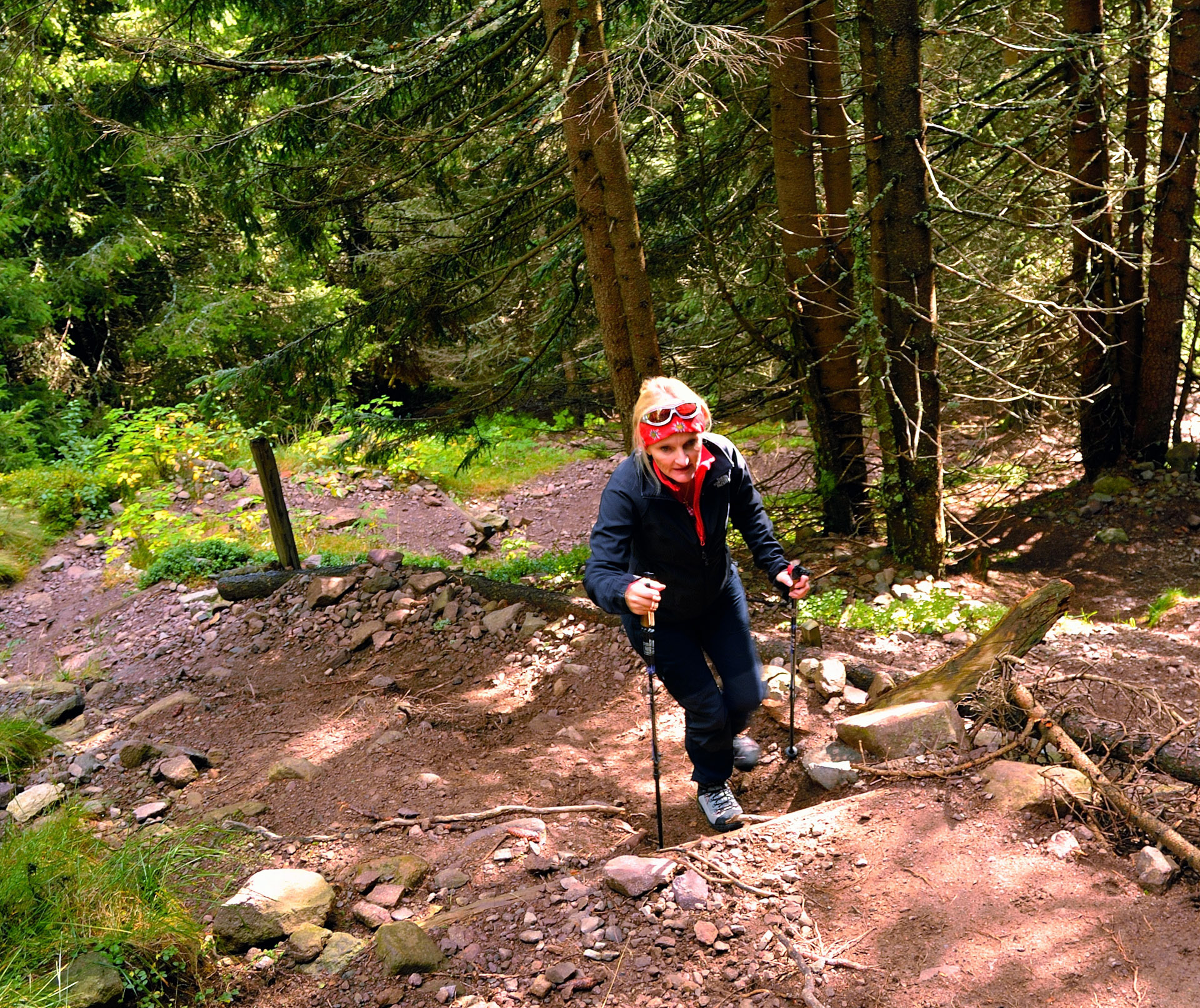 Diese Tour starten wir ab dem Gampenpass wo wir direkt gegen�om Parkplatz auf Weg Nr.133 einsteigen,der uns nach kurzer Zeit in dichten Wald f�Der sehr steile Weg �ie hohen Trittstufen ist wahrscheinlich der anstrengenste Teil dieser Wanderung �upt...