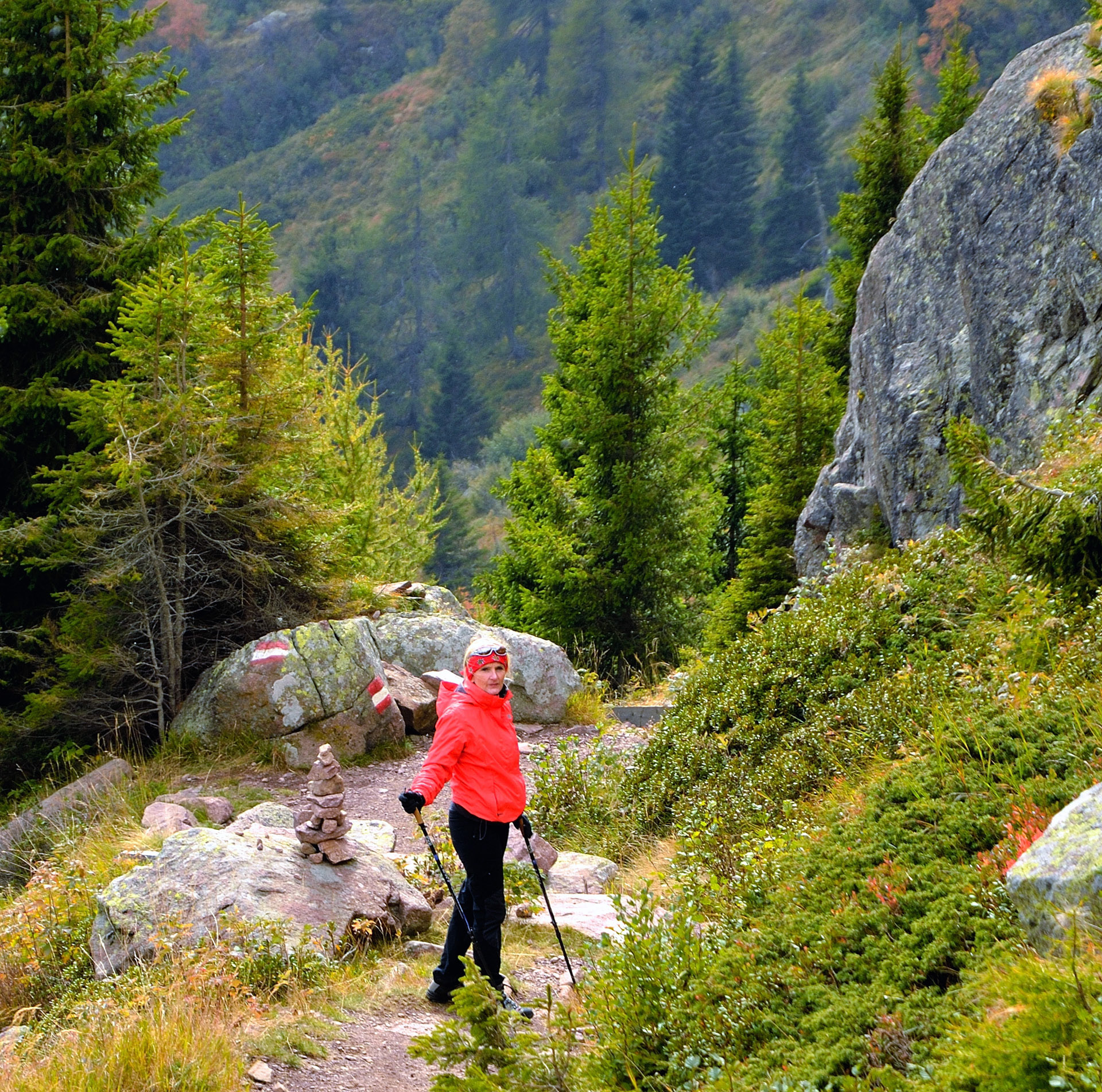 ...Abstieg zur sch�elegenen Laugenalm (1853 m) f�.