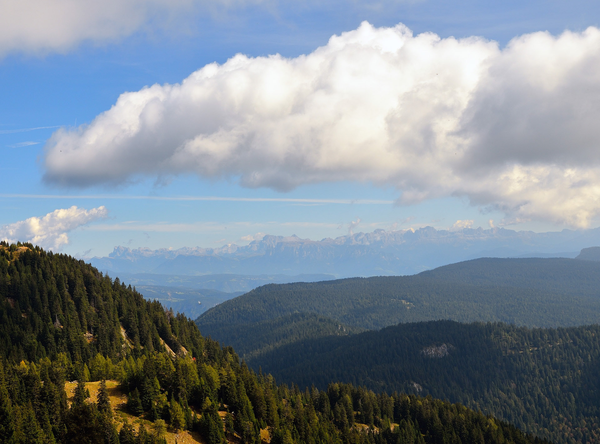 ...Hier auf der Alm sollte man sich unbedingt eine Pause g�n und die leckeren Kn� probieren...