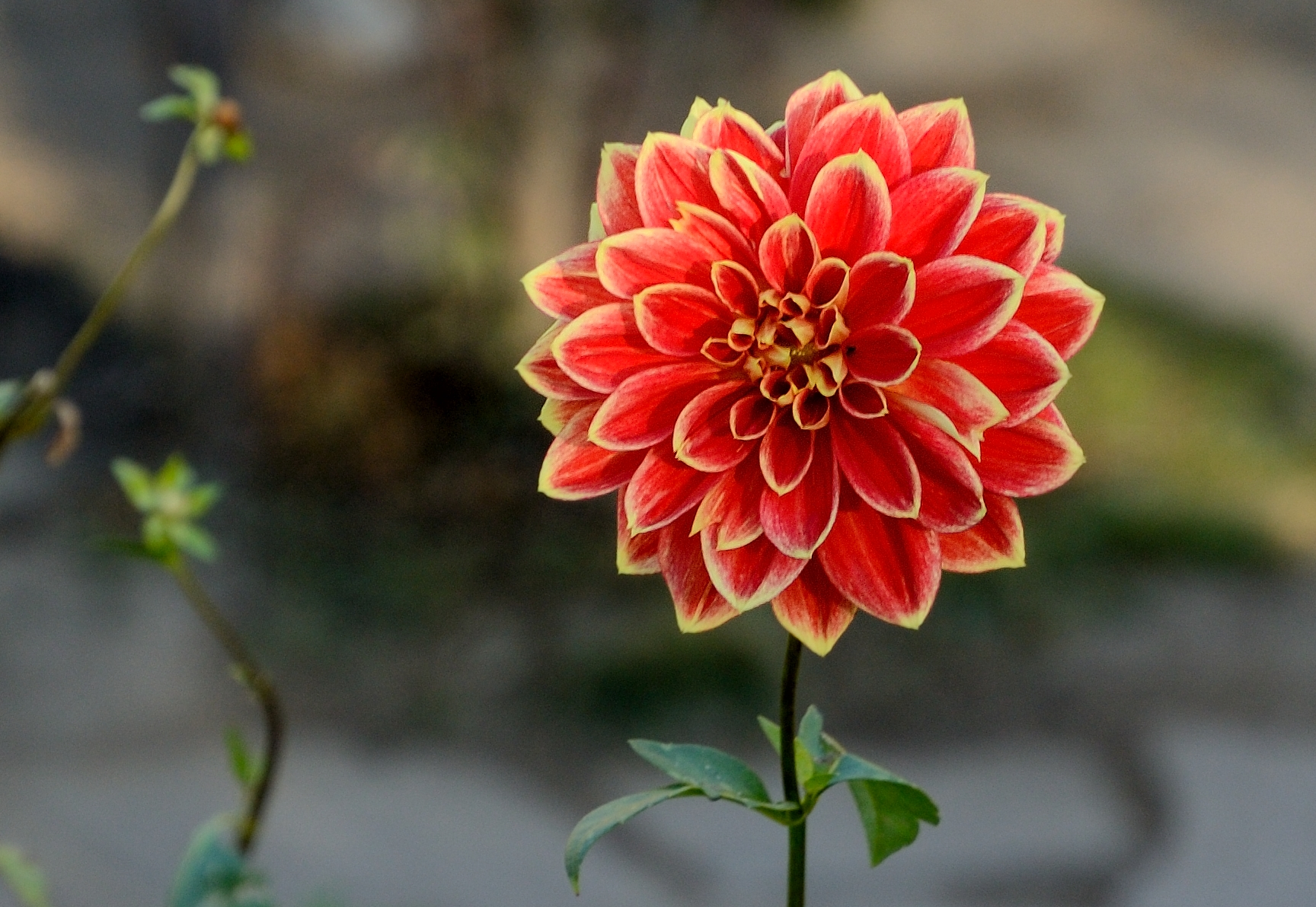 ...von dem einen Themengarten gelangt man in den nächsten, es gibt 20 Themengärten...