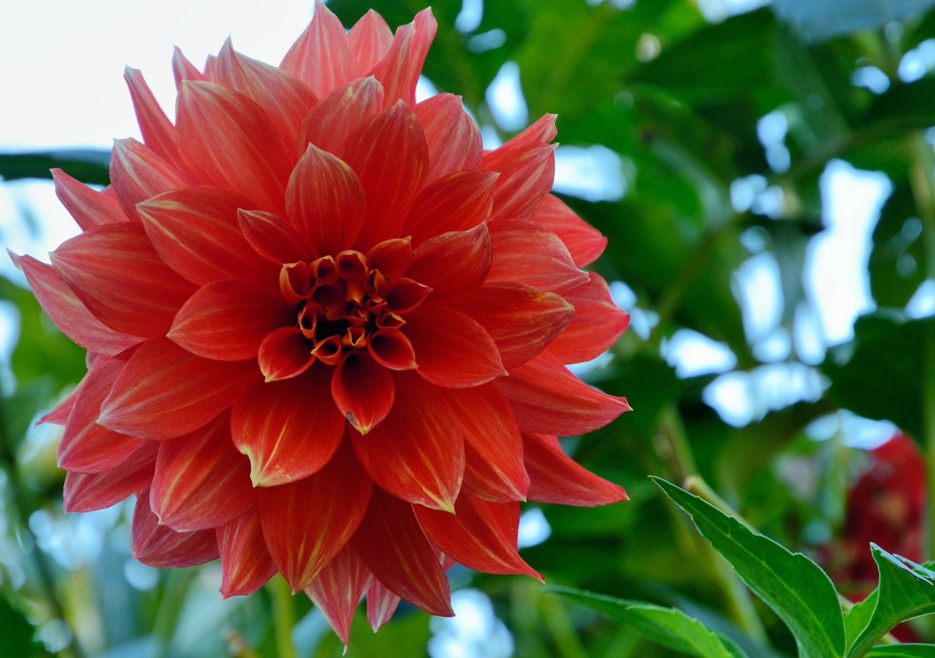 Im Garten von Schloss Trauttmansdorff...