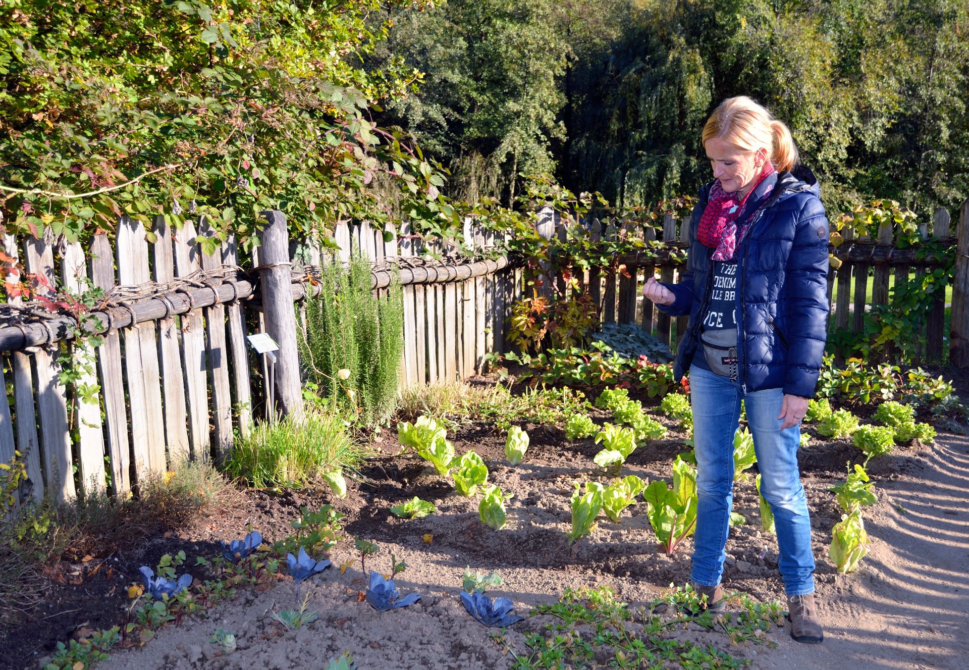 Im Bauerngarten. Der traditionelle Südtiroler Speltenzaun wurde von einem Bauern aus dem nahe gelegenem Ultental in Handarbeit geflochten. Schmale Pfade trennen die einzelnen Beete des Gartens, in denen Salate, Karotten, Lauch, Zwiebeln und Kohlsorten angepflanzt werden. Dazwischen tummeln sich Gewürzkräuter und Heilpflanzen.