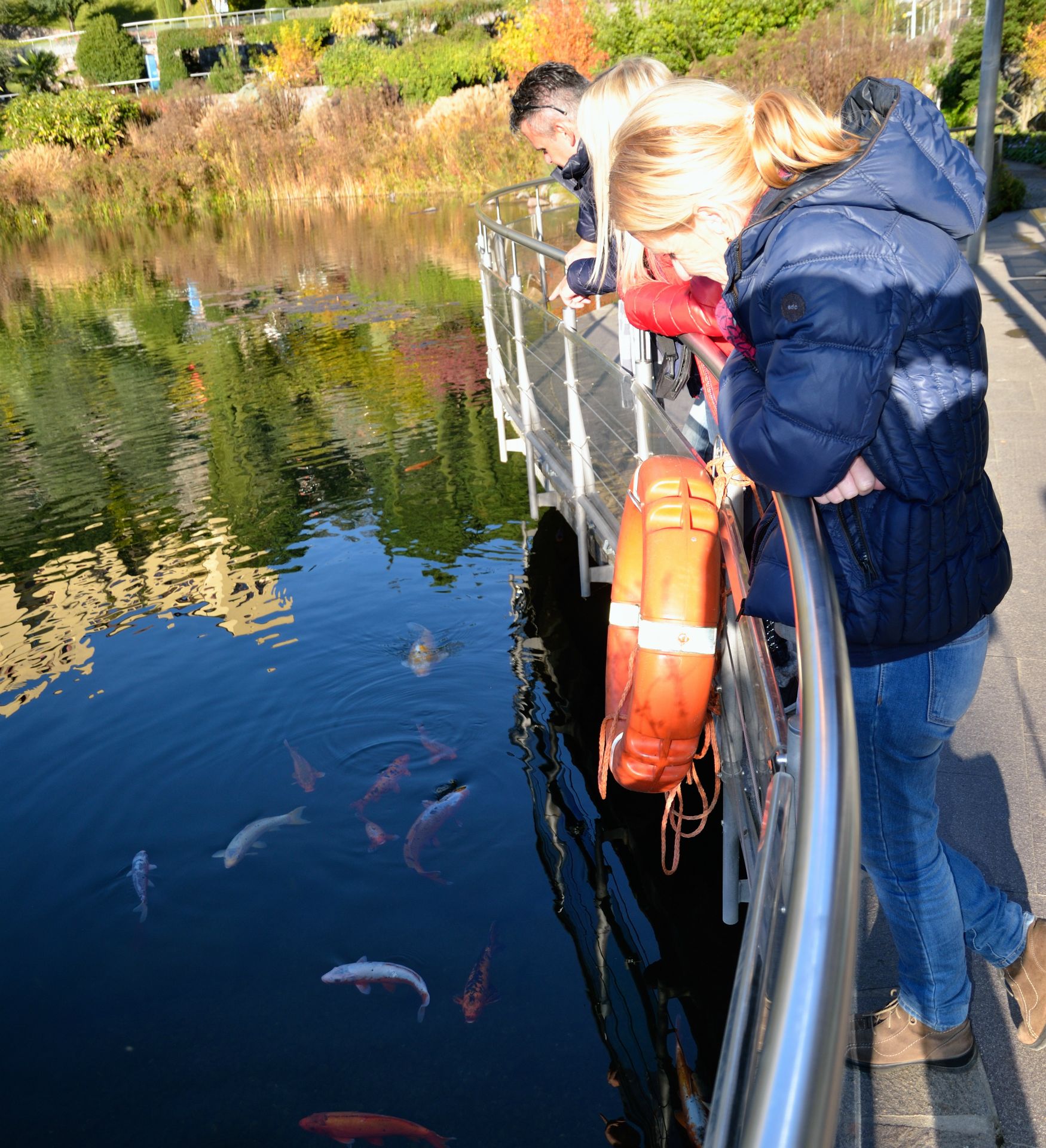 ....Das Herzstück der Gärten ist mit Sicherheit der Seerosenteich mit seiner Seebühne. Bewohnt von japanischen Kois, Enten, Schildkröten und zahlreichen anderen Wassertierchen ist er für die BesucherInnen Ruhepol und Erlebnisstation in einem.
