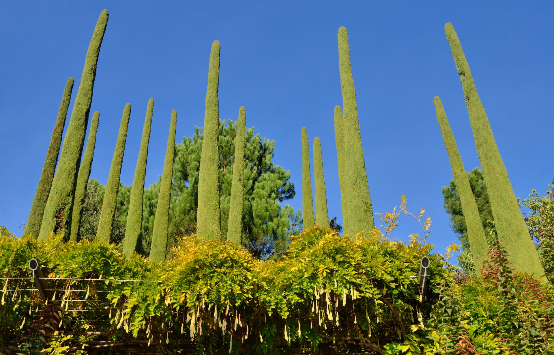 Den Süden erfahren: Die Sonnengärten bezaubern mit mediterran-exotischem Flair...