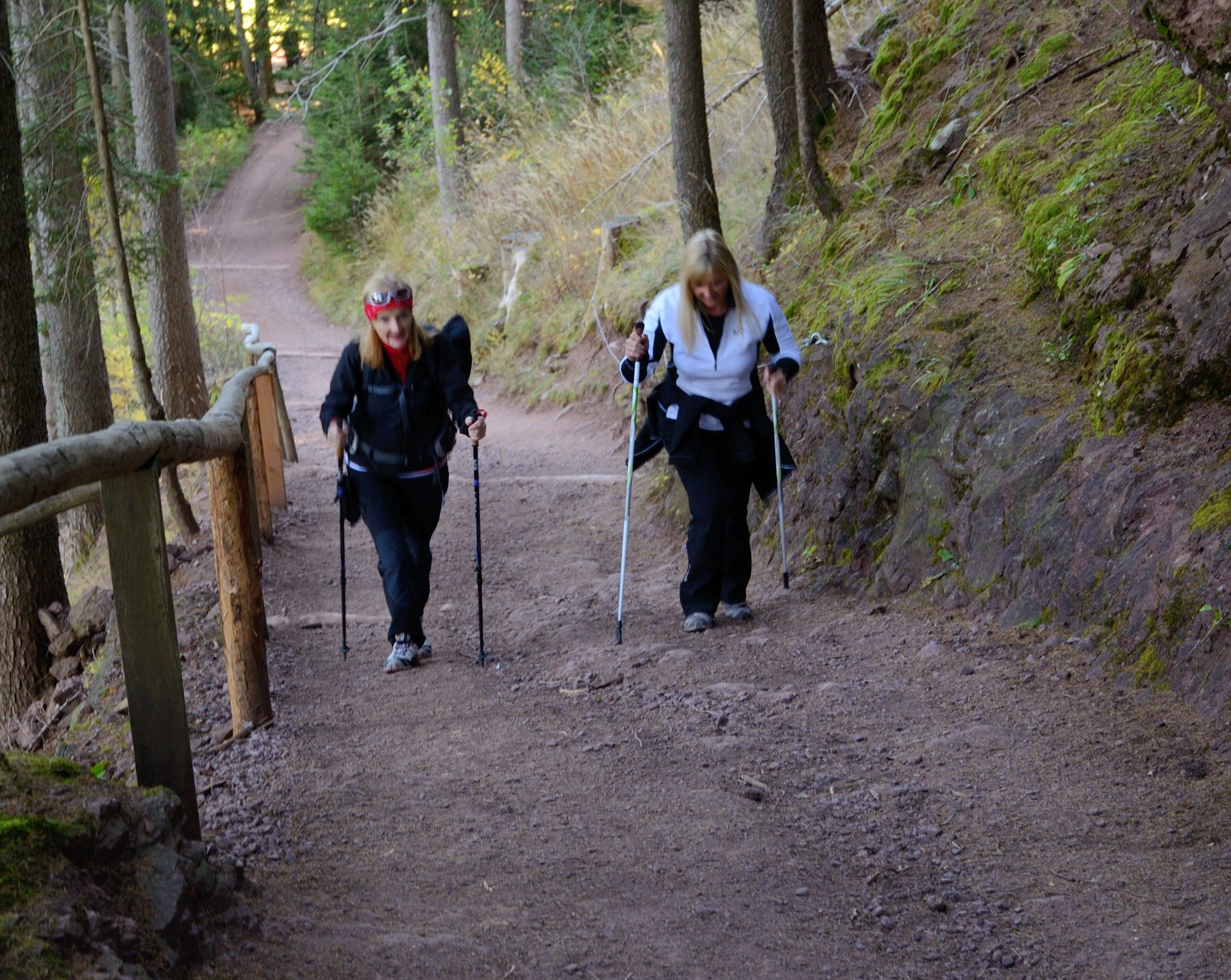 Kurzer, steiler Anstieg auf die Kuppe des Rotsteinkogels...