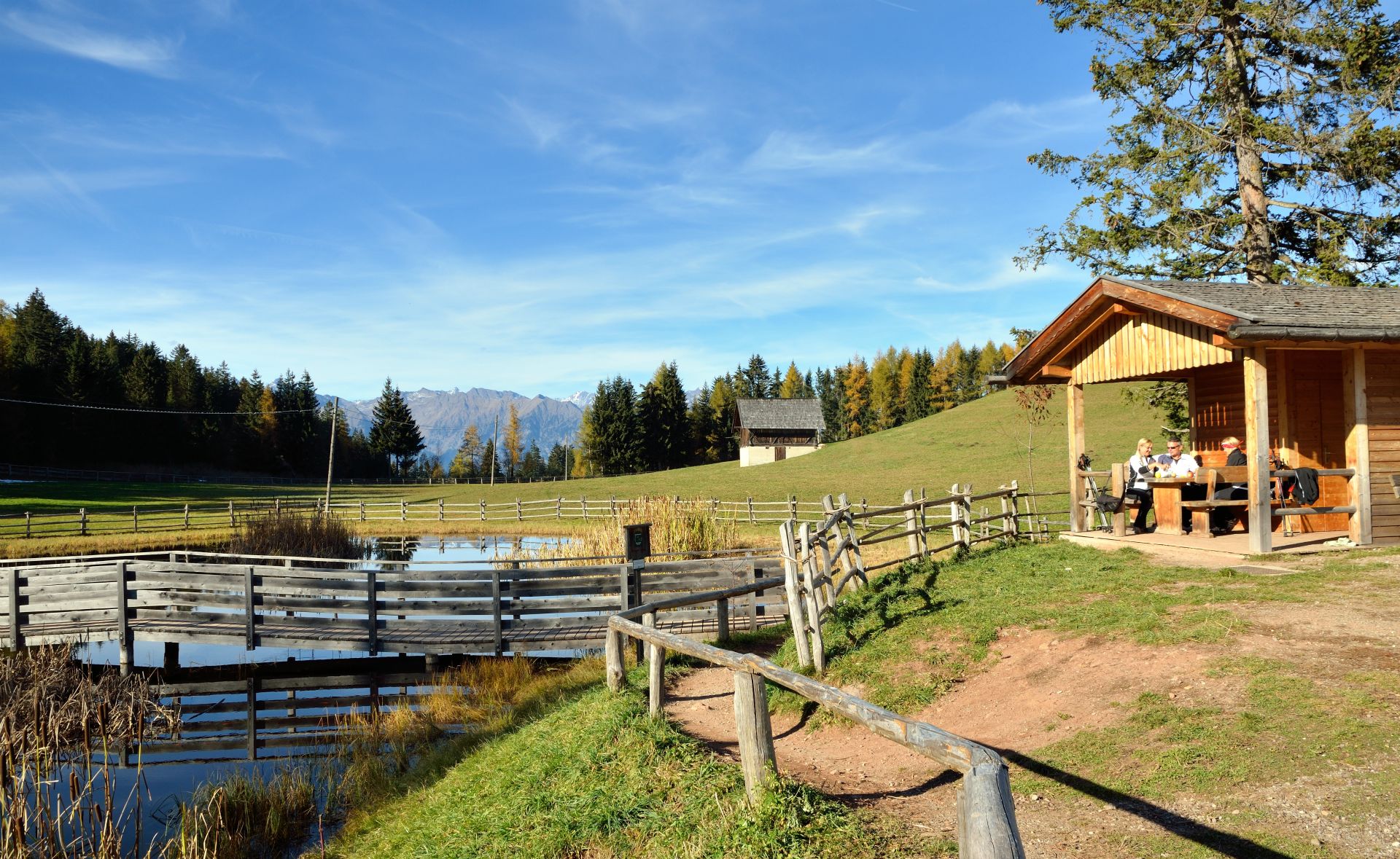 Wir rasten bei einen Biotop, von nun an geht es nur mehr bergab zum GH Grüner Baum...